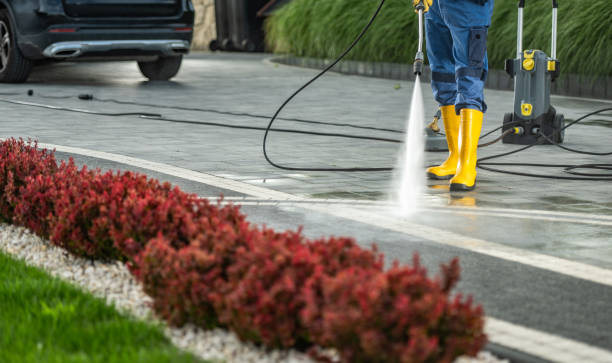 Pre-Holiday Cleaning in Valley City, ND